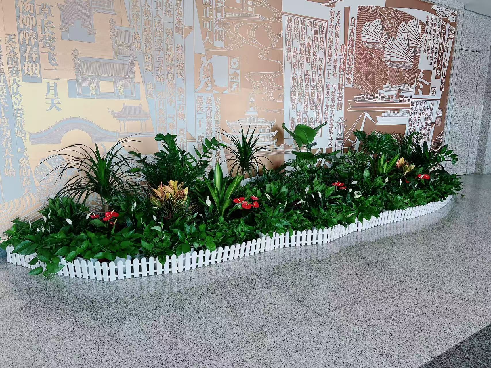 宁波慈溪植物租摆方案